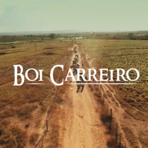 BOI-CARREIRO